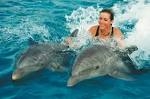 плавание с дельфинами в Анапской